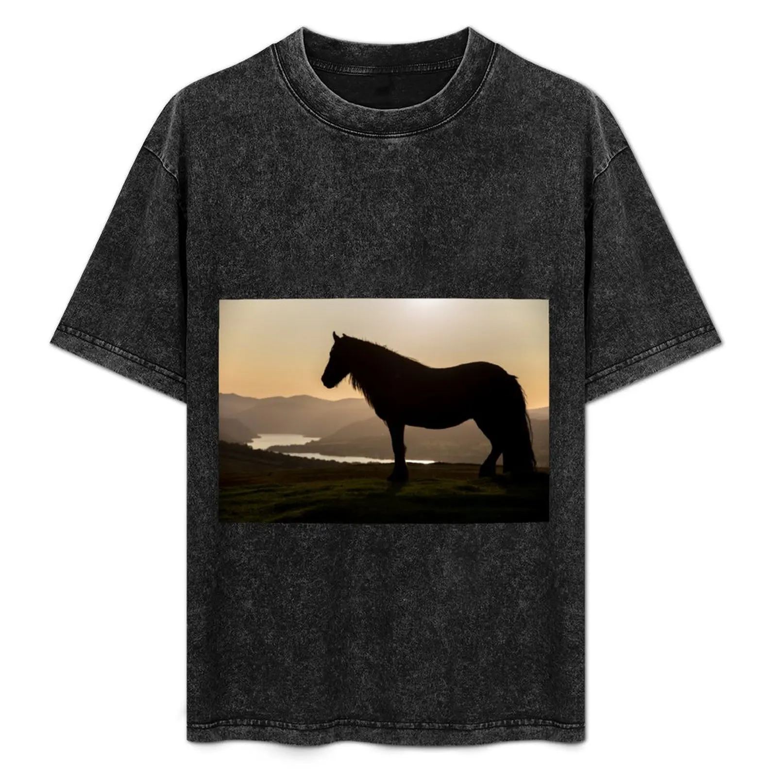 Lake District - Fell Pony on Askham Fell T-Shirt Funny t-shirt sublime oversized graphic t shirts black t shirts for men