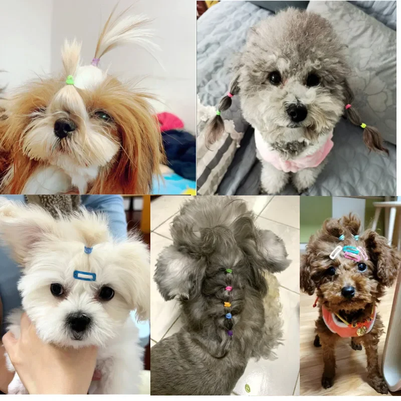 Colorful Pet Elastic Rubber Band Dog Grooming Accessories Hair Band Puppy Cats Dogs Bow Headwear Pet Items