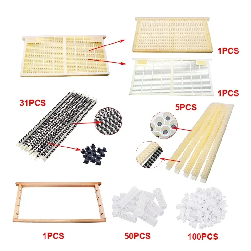 No Graft Queen Rearing Kit Insect Free Plasma Collection Frame Royal Jelly Producing Queen King Control Room Table Bottom Strip