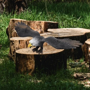 Simulated eagle model, animal statue, realistic educational ornament, plastic simulation, bird toy, hanging decoration 8 Main Sales Aguia Decoration State - №6