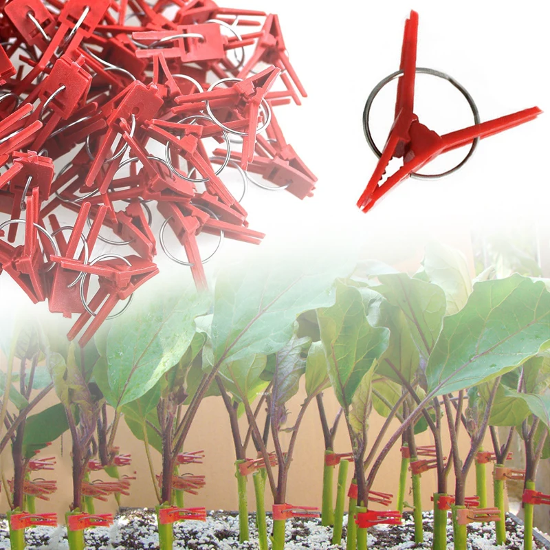 25-100Pcs Anti-Fall Plant Clip Set , Plastic Grafting Tool for Cucumber Tomato Melon Vines, Round/Flat Mouth Design