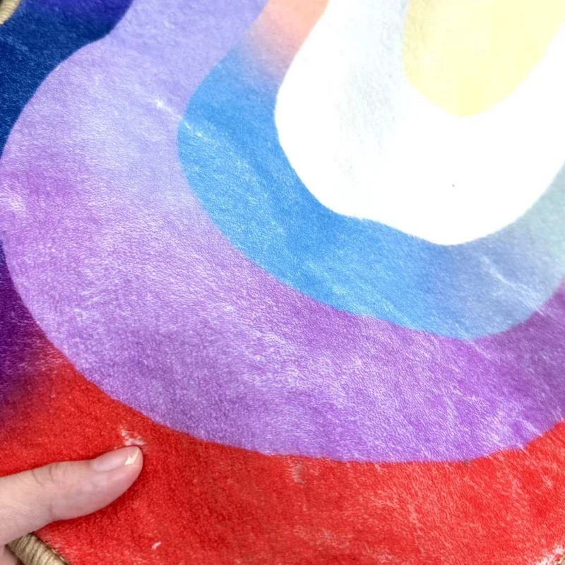 Irregular Colorful Abstract Plush Rug 5
