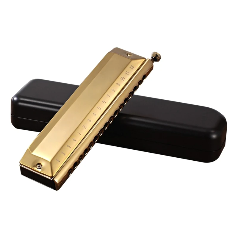 Harmonica 16 Holes Harp 48 Tones Diatonic Harp for Key C Blues Mouth Organ Harp Early Education Music Trainin