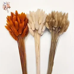 90pcs Boho Autumn Dried Flower Set 3 Colors Mix Colorful Artificial Natural Bunny Tails Grass Bouquets Interior Home Decoration
