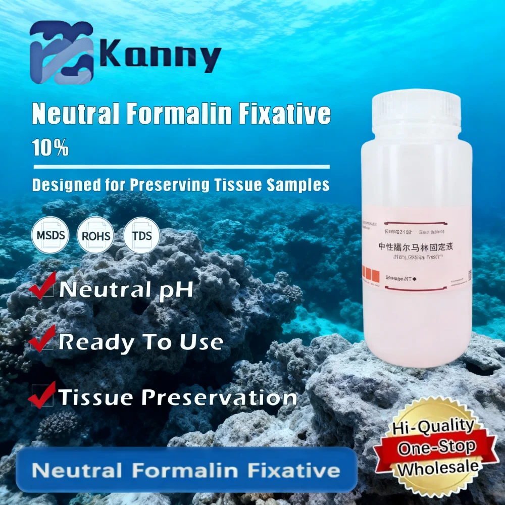 Neutral Formalin Fixative for Tissue Preservation and Laboratory Applications Original Product
