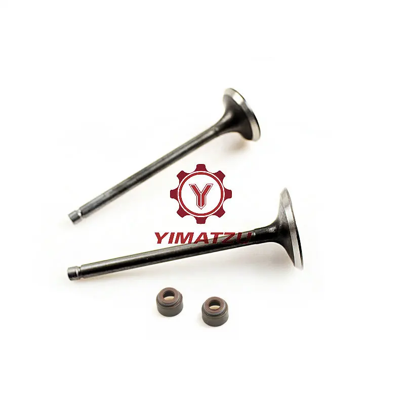 Yimatzu ATV Parts VALVE for BUYANG FEISHEN FA-D300 H300 300CC 173 Engine 2.1.01.0440 2.1.01.0450