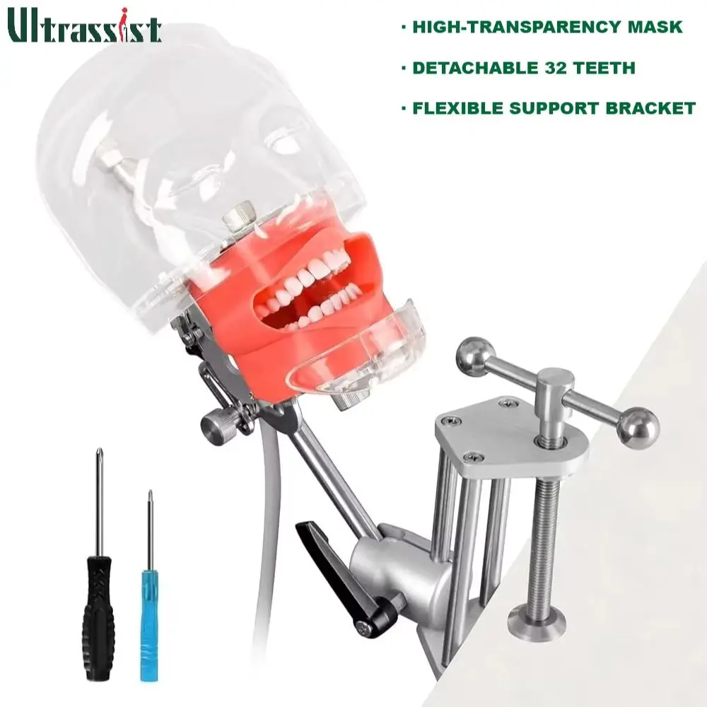 

Ultrasist Dental Manikin Head 32 Detachable Resin Teeth Model Typodont Adjust Table Mount for Dental Student Hospital Education