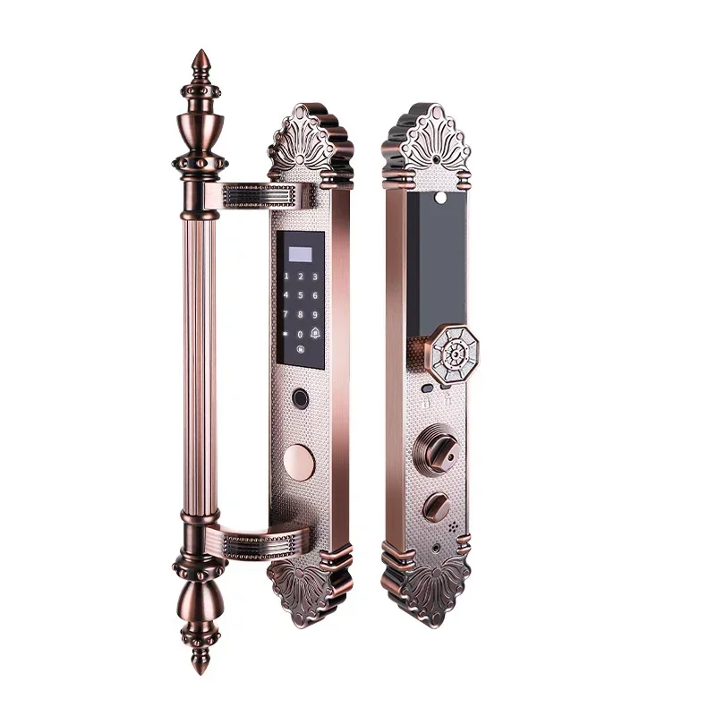 Security Electronic Smart Digital Password Lock Household Villa Gate Fingerprint Lock Europe Style APP Remote Door Pull Handle