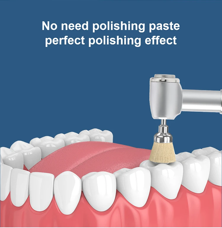10PCS AZDENT Dental Polieren Pinsel Aluminium Oxid Siliziumkarbid Polieren Prophy Pinsel Werkzeug für Contra Winkel Handstück – Detail 29