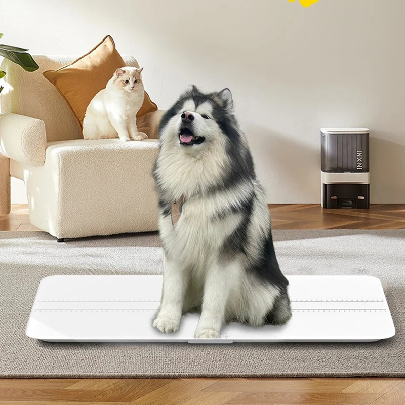 

Большие весы для домашних животных Электронные весы для домашних животных 100 кг Большие весы для домашних животных Прецизионное весы Покрытие домашних животных Все размеры Товары для собак