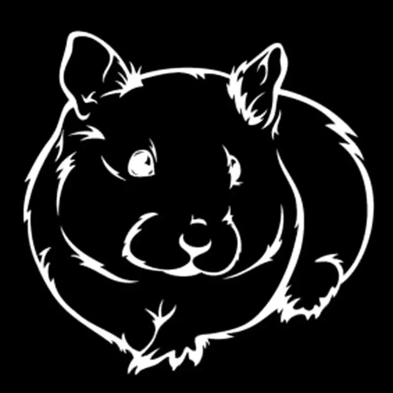 

Funny Guinea Pig Pet Hamster Rodent Mouse Rat Vinyl Car Sticker Suitable for Laptops, Refrigerators, Motorcycles 15CM PVC KK
