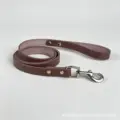 brown leash