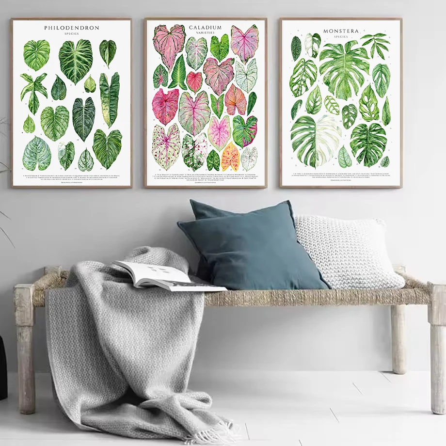 Classic Plants Leaves Hoya Caladium Monstera Nature Botanical Guide Poster Canvas Painting Wall Art Pictures Home Decor