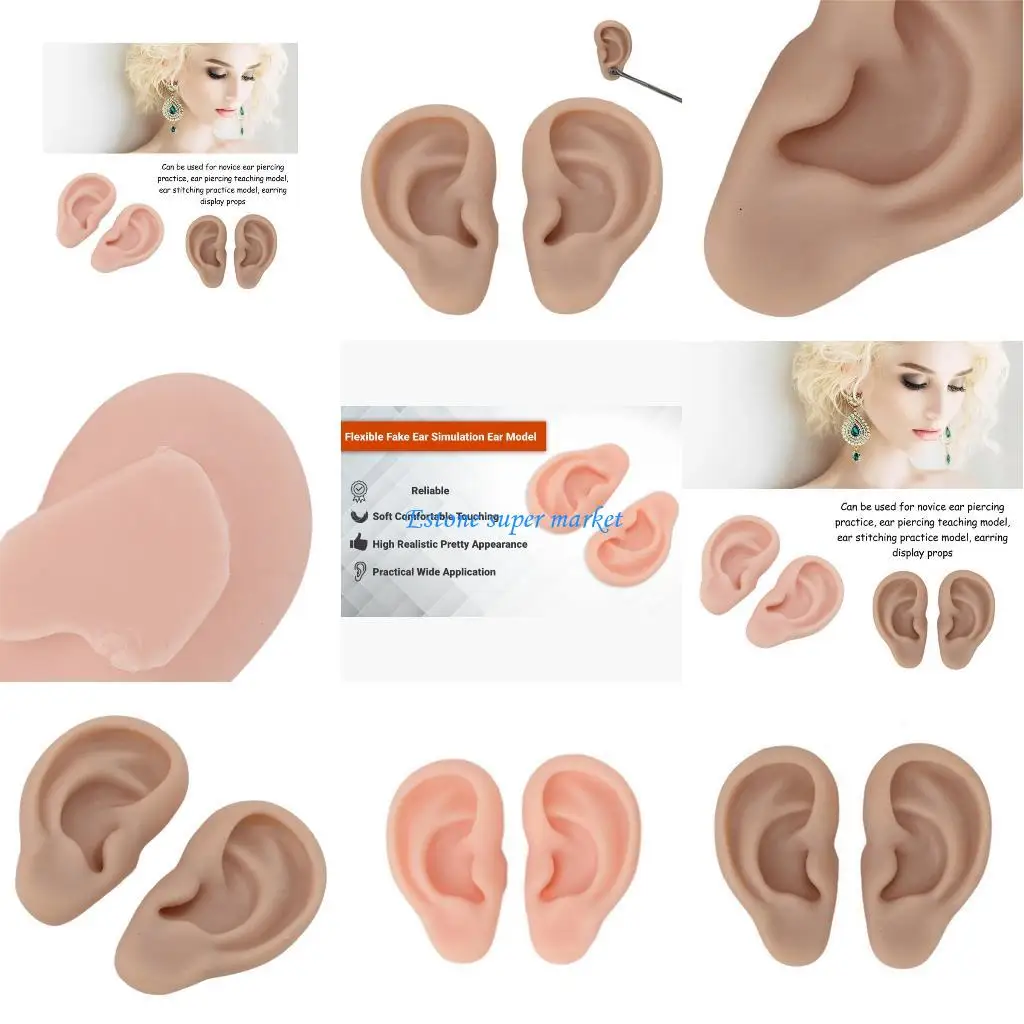 090B Modelli simulazione orecchio impermeabili facili da pulire per l'insegnamento scolastico, l'uso domestico e