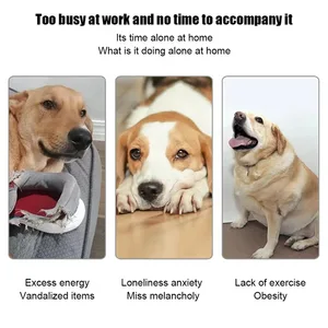 قاذفة تنس الأوتوماتيكية ، ألعاب المطاردة ، آلة تفاعلية ممتعة ، منجنيق قابل لإعادة الشحن ، 6 كرات أفضل 8 قاذفة جرو كروية للمبيعات - No8