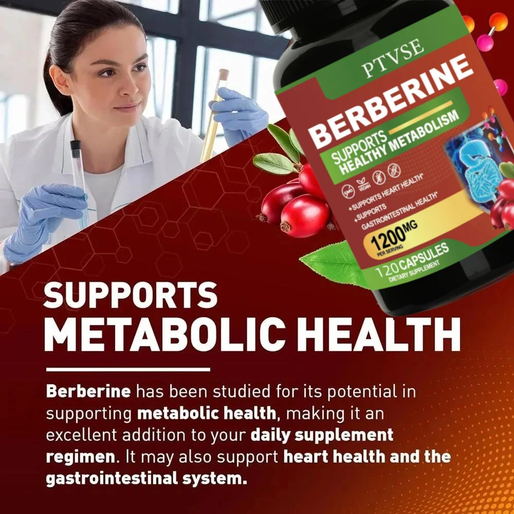 Berberine  Capsule Antioxidant Supports Immune System, Cardiovascular & Gastrointestinal Function