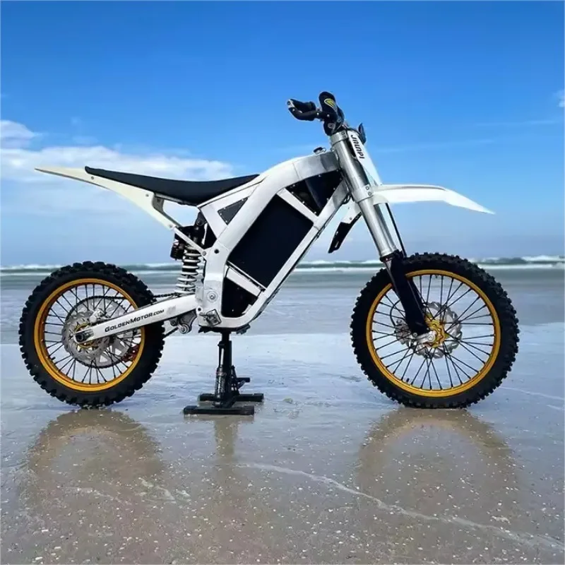 Charging 72v 73Ah 120km Speed 100km Range off Road Adult Electric Motorcycles 6000w Electric Dirt Bike