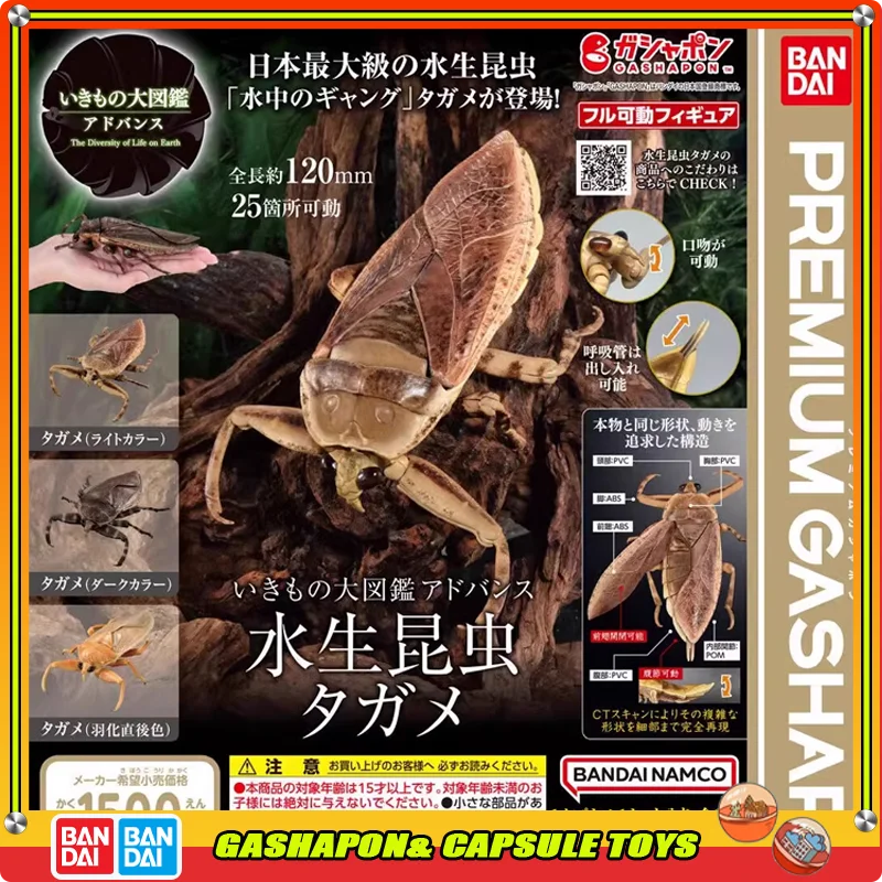 

BANDAI Biological Encyclopedia Action Figures Model Simulated Aquatic Insect Model GASHAPON Official Genuine Ornament