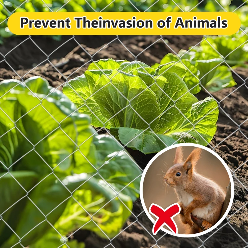 هيكل قوي، تركيب سريع، سهل التركيب، سهل التركيب والحفاظ على تطبيقات واسعة، خدمة ممتازة
