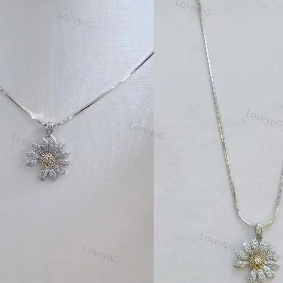 Test Link. Please D…