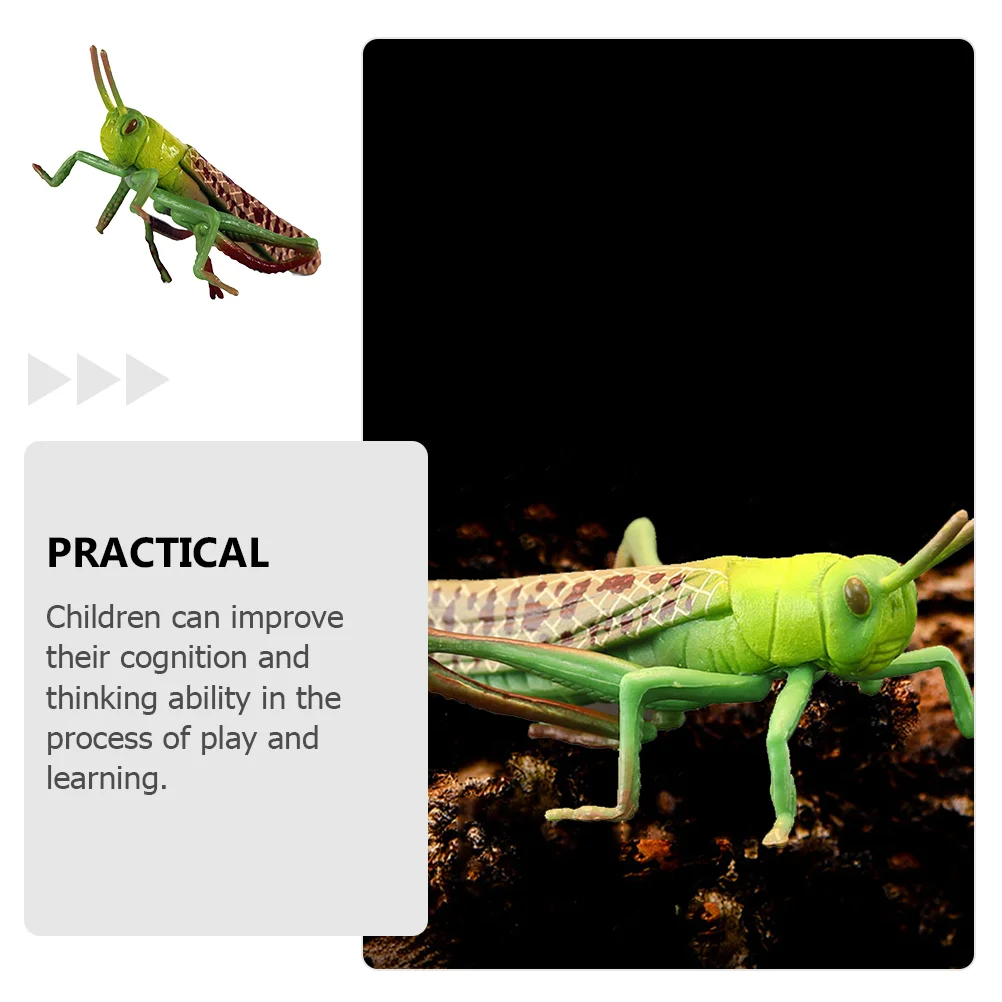 Locust Animal Model Toys Artificial Childrens Figurines Early Educational Plaything Kids Playthings Decorate