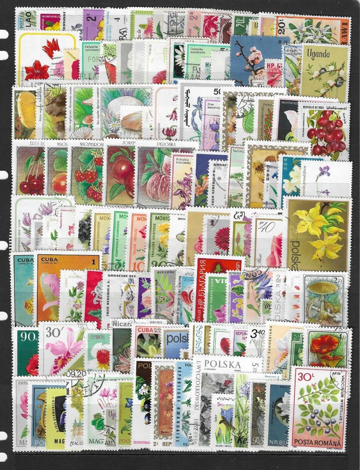50/100Pcs/Lot World Flower Postage Stamps, Multi-Country All Different No Repeat Postmark Used Stamps for Collectors