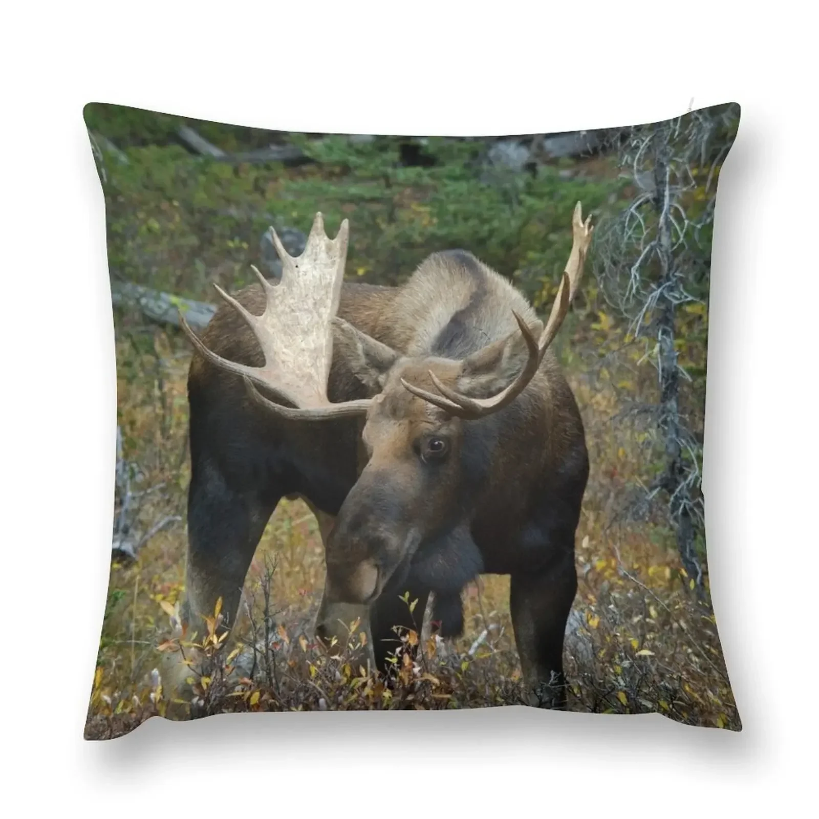 Bull moose in the woods Throw Pillow Pillow Covers Decorative pillows decor home Cushions For Decorative Sofa pillow