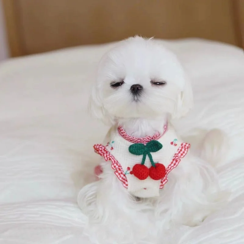 Falda de punto con estampado de cerezas para mascotas, ropa de verano para perros, vestido para perros, gato pequeño, cachorro de moda blanco,