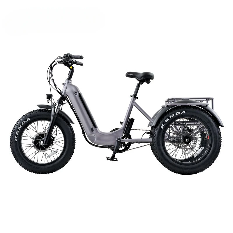 Electric Tricycle Adults OEM Customize Battery Powered Trike Three Wheels