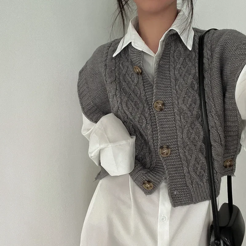 Women Vintage Fall Sweater Vest Cashmere Single-breasted Casual Knit Cardigan Vest Sleeveless Winter Loose Sweater Waistcoat Y2K