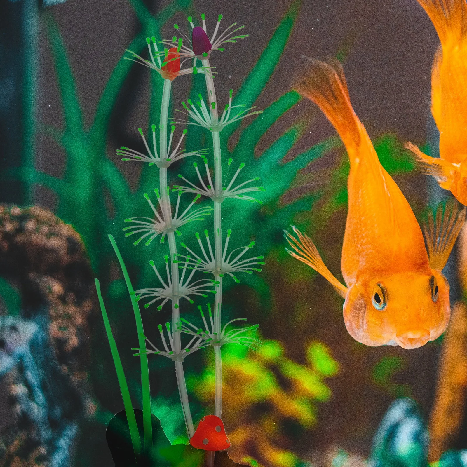 

Simulated Aquatic Plants Fake Underwater Grass Vivid Water Grass Fish Tank Decor Silica Gel Aquarium Pet Supplies