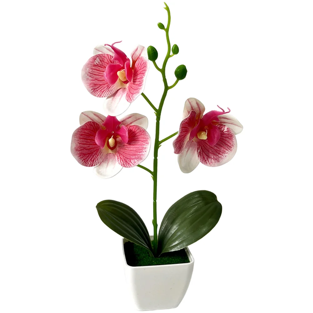 Artificial Phalaenopsis Orchid Potted Plant in Chic White Square Pot with Artificial Moss for Home Office Balcony Decor