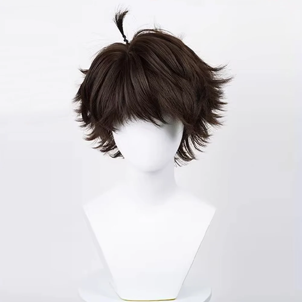 RANYU Men Synthetic Wig Short Straight Wavy Brown Anime Cosplay Fluffy Hair Heat Resistant Wig for Party