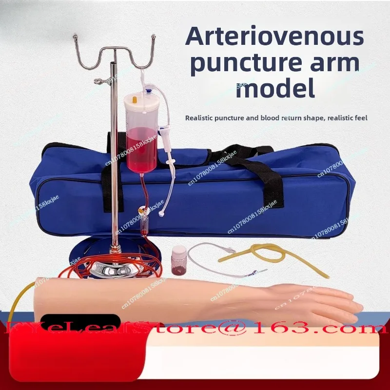 Intravenous Infusion Puncture and Intramuscular Injection Arm Model Deltoid Muscle Vein Training