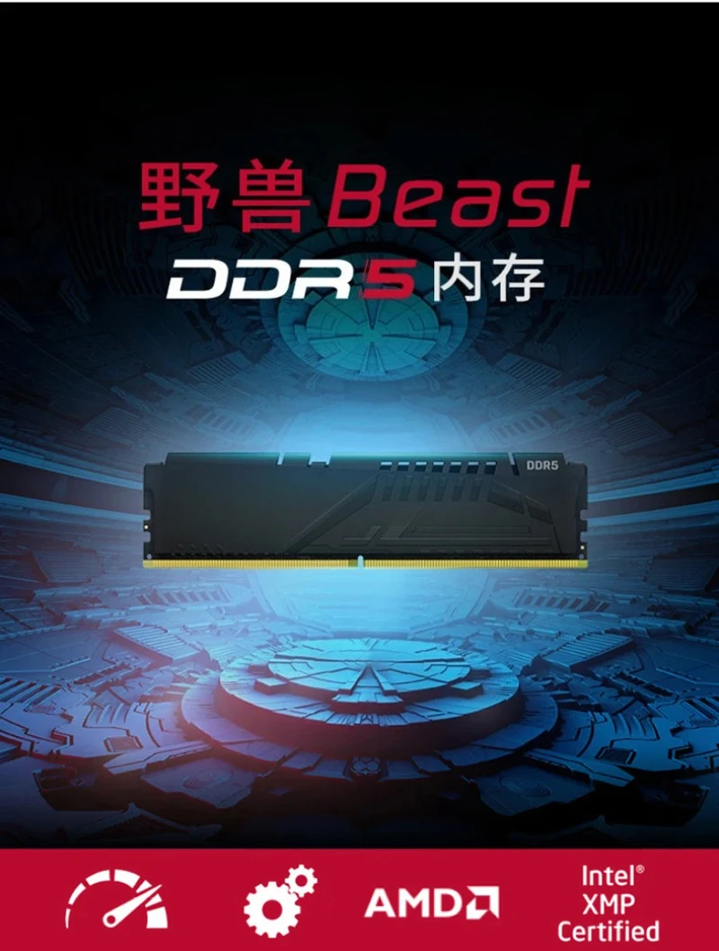 16 gb / 32 gb DDR5 memory 6000 desktop Beast Beast