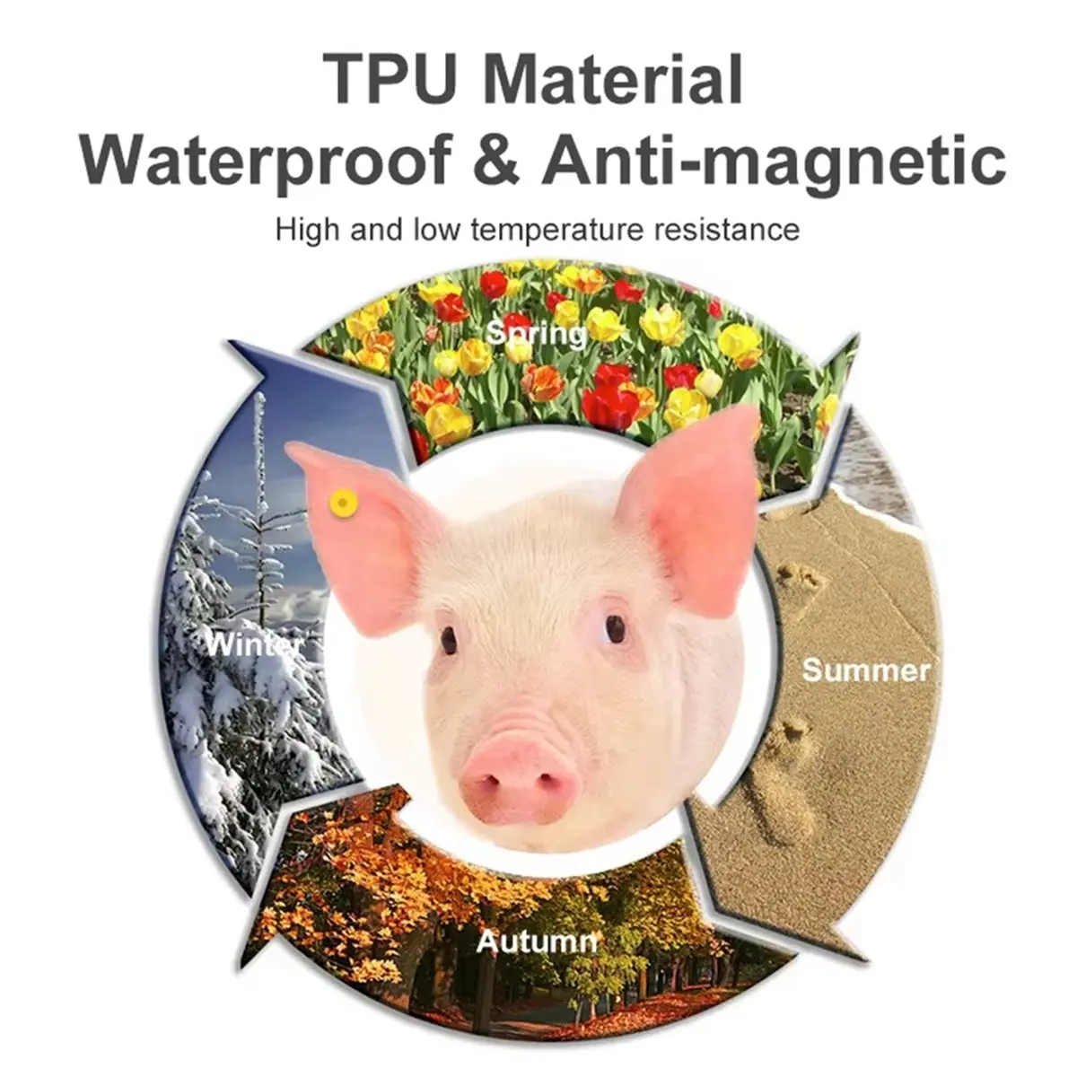 A003 10pcs EM4305 Animal Tag RFID Pig Ear Tag Animal Ear Tag 134.2 KHz Animal Ear Tags for Pig Farm