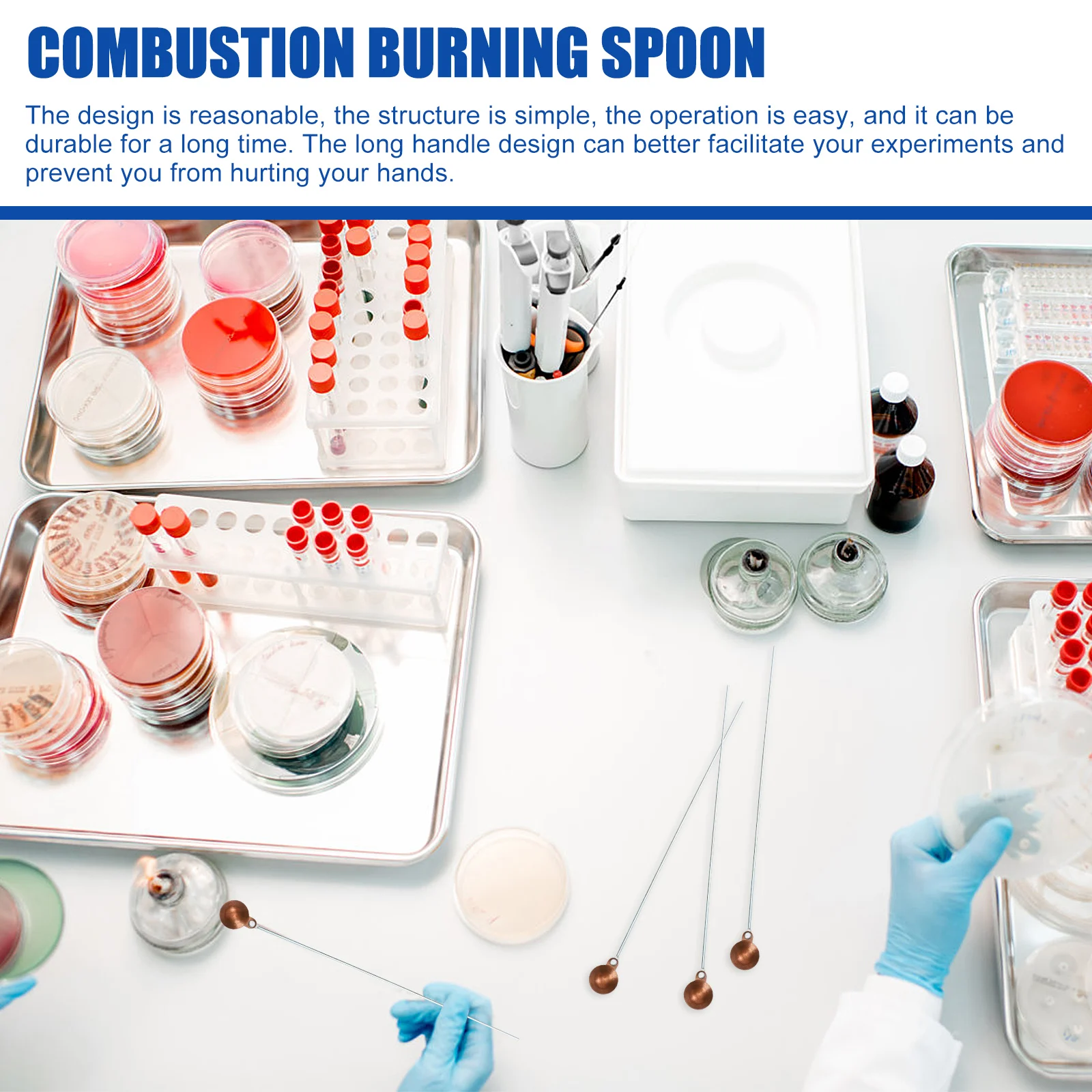 

10 Pcs Burning Spoon Combustion Teaching Instrument Copper Laboratory Supplies Chemical Experiment Tool Stainless Steel Spoons