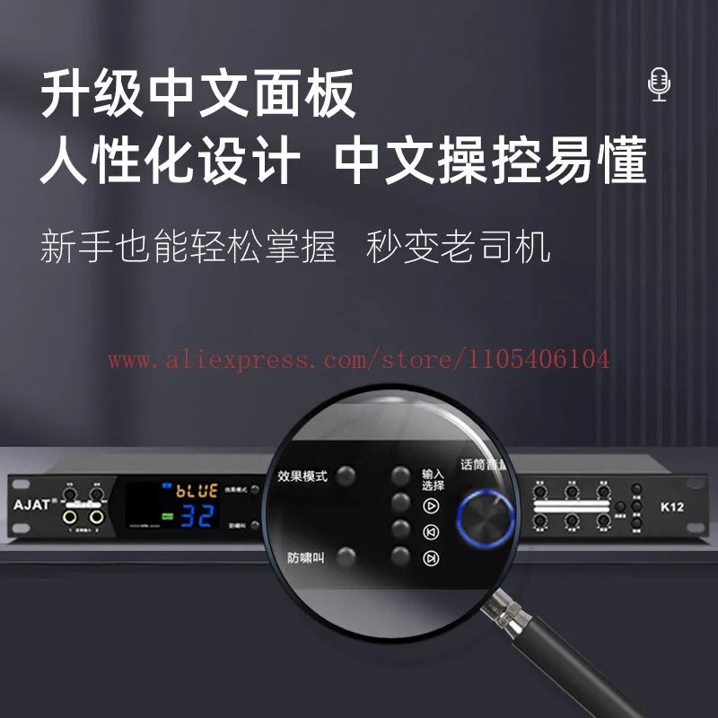 Professional karaoke singers use karaoke microphones to prevent whistling sound equalization reverb processor