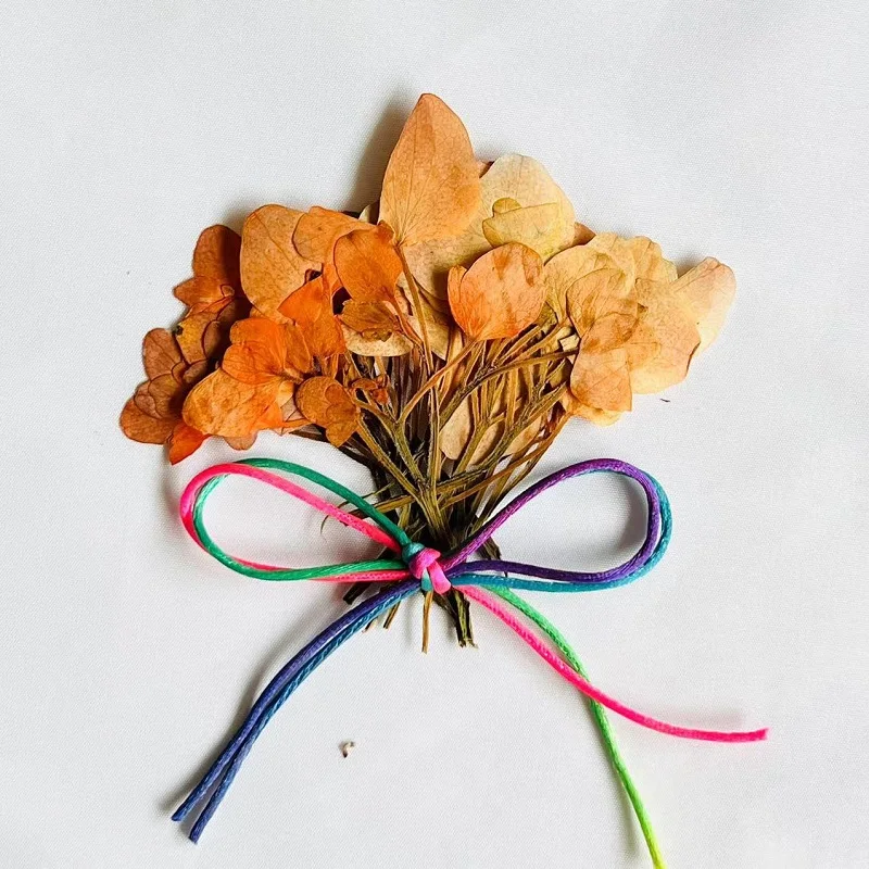 60pcs Pressed Dried Colour Multi-start Hydrangea Flower For Epoxy Resin Pendant Jewelry Phone Case Bookmarks Card Making Craft