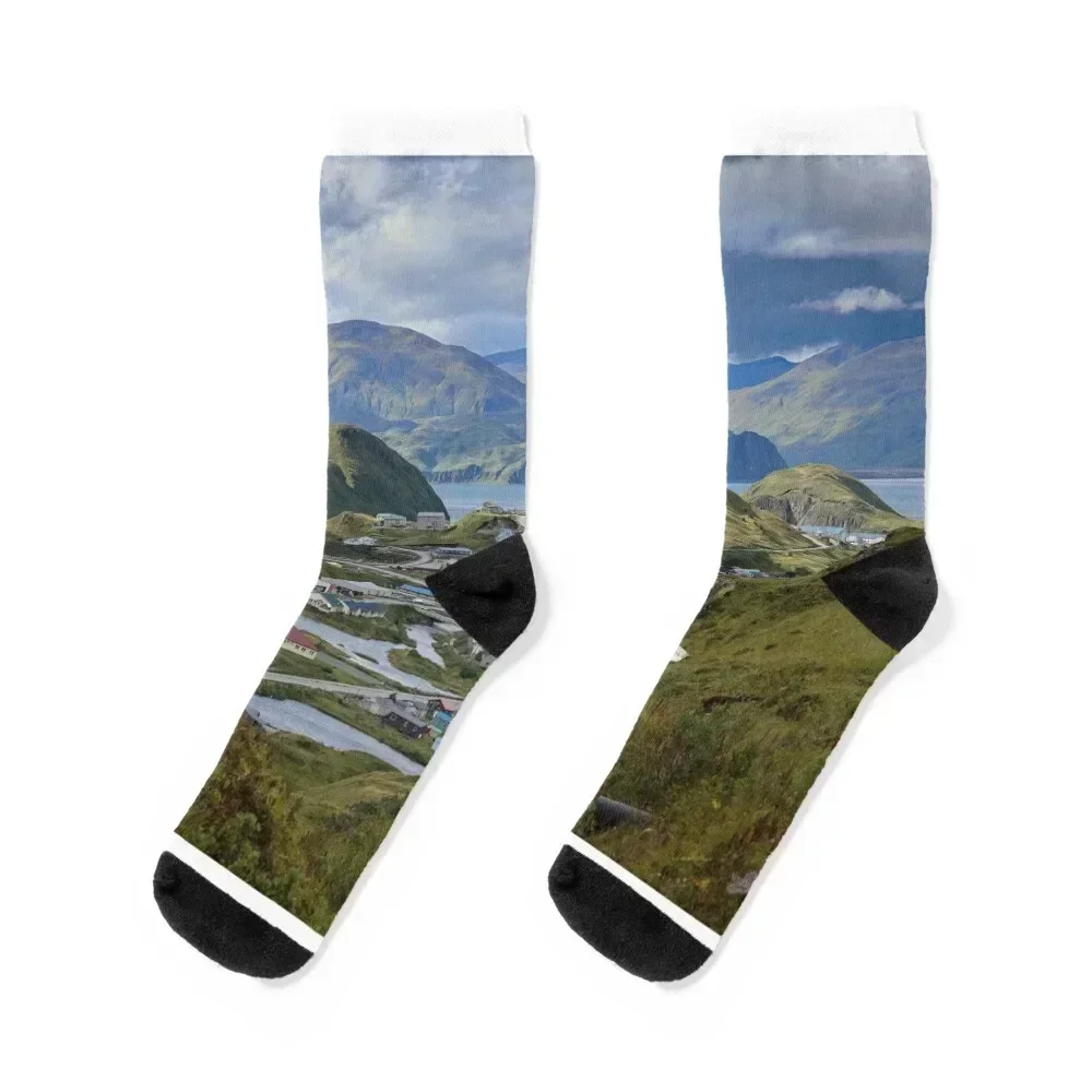

AleutianLife Unalaska Summer Green Socks luxury christmas gift sports stockings designer Socks Men Women's