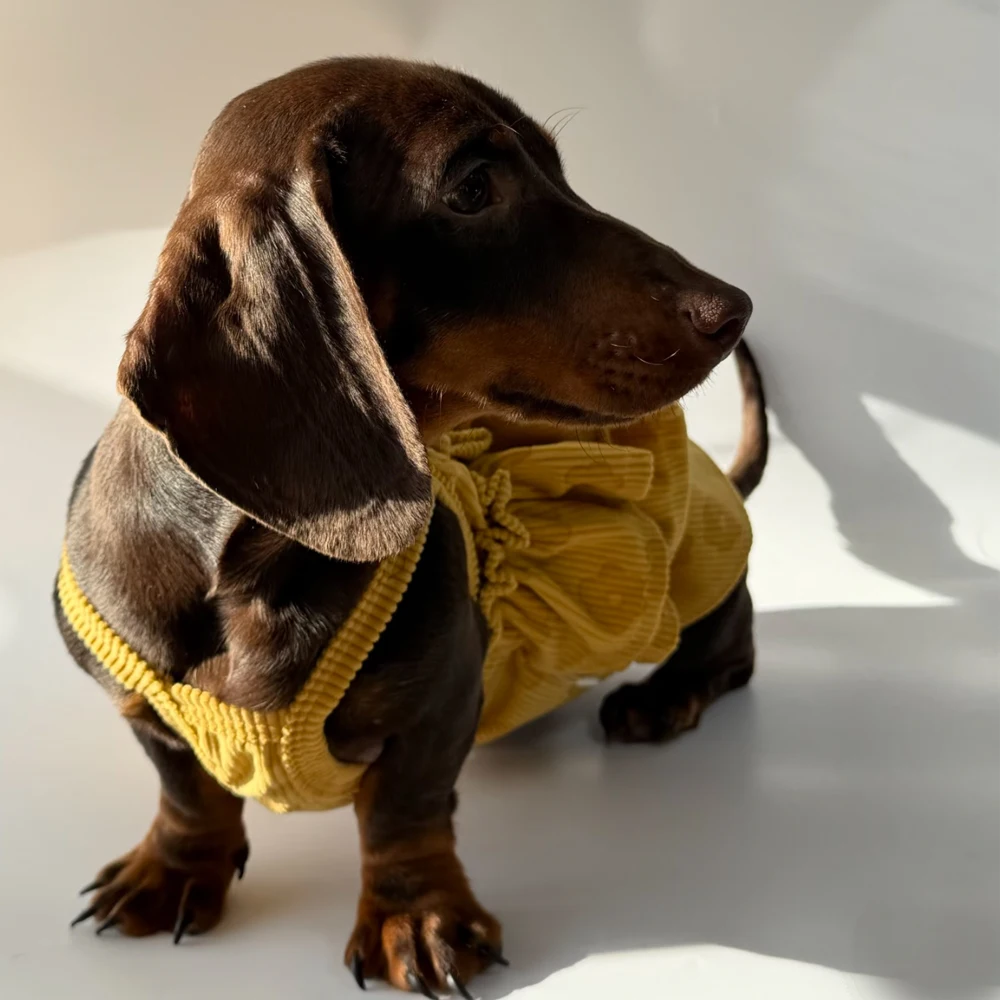 Vestido elástico transpirable de verano para perros pequeños salchicha - imagen 2