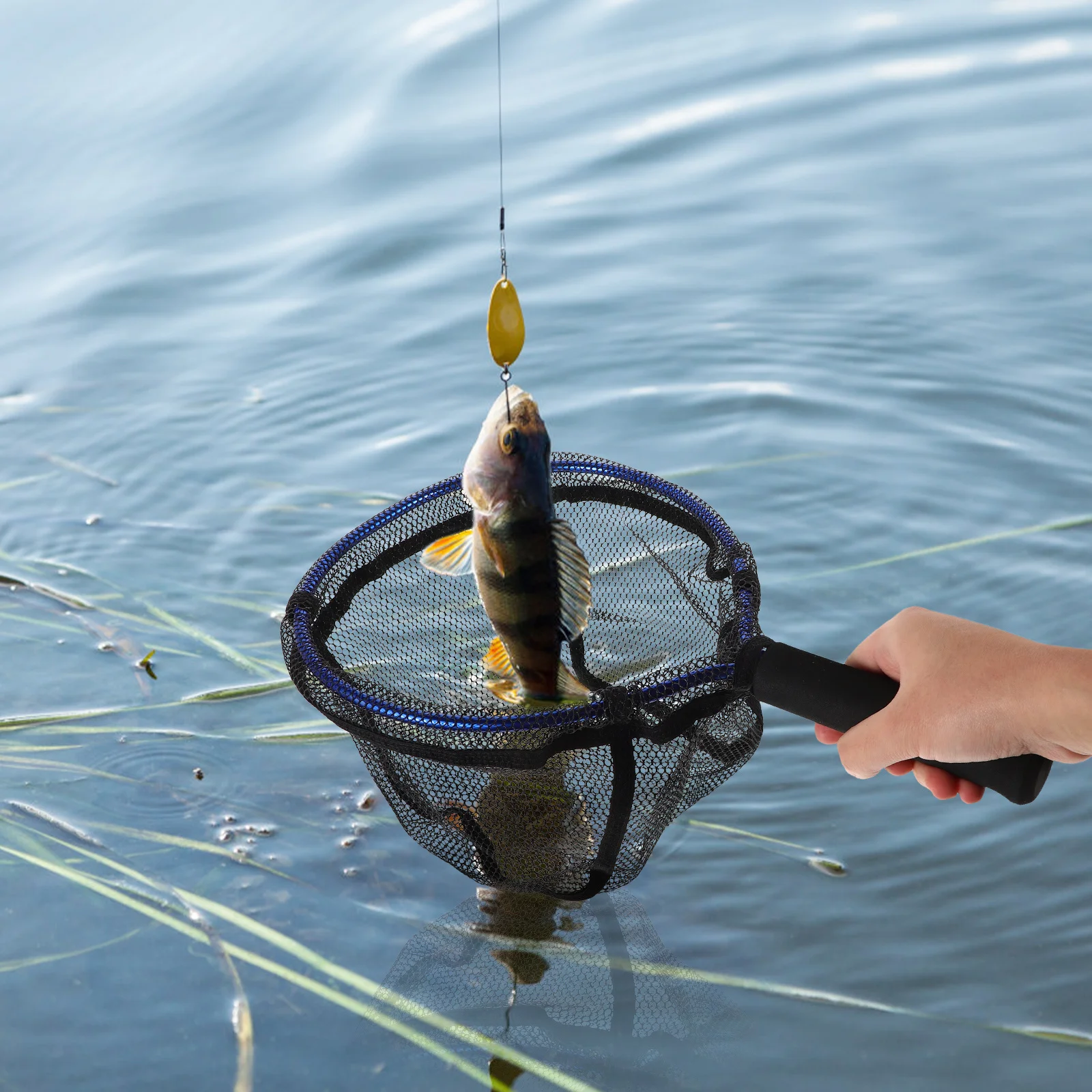 

Durable Colored Aluminum Fishing Net Portable Lightweight Easy Storage for Fishing Landing Nets Crabbing Net