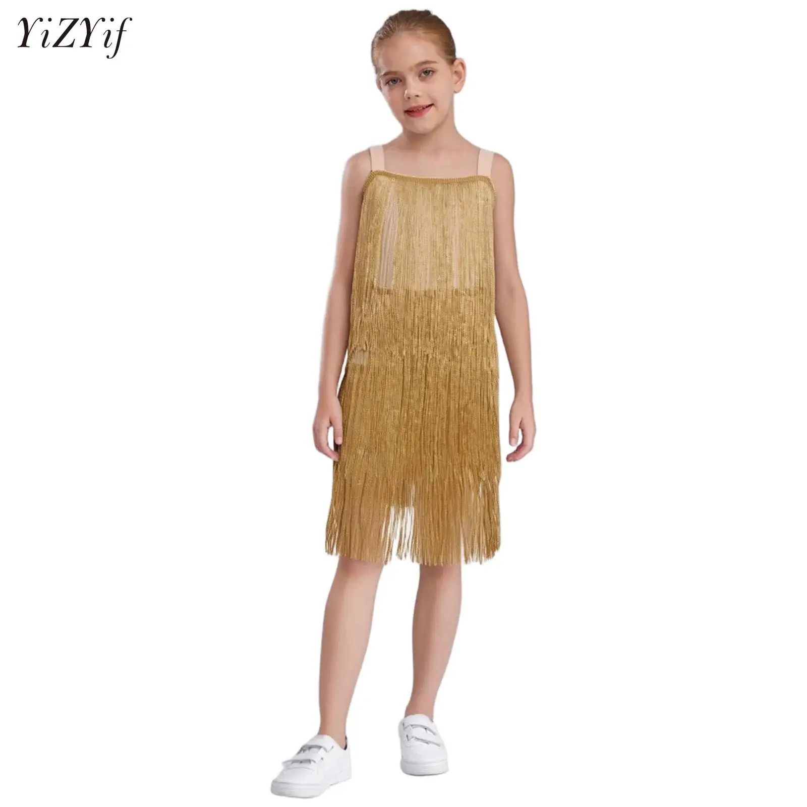 

Children Girls Flapper Dress New Summer Dance Party Dresses For Girls Shimmering Fringe Latin/Tango Dress Tassel Ballroom Girls