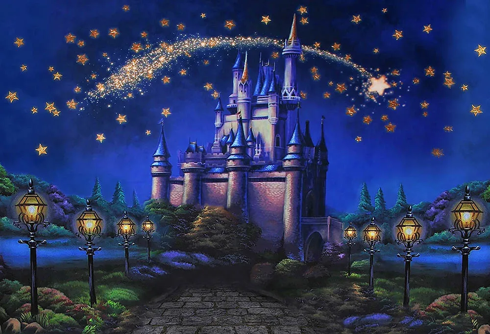 Castle Palace Backdrops for Product Photography Princess Girl Birthday Portrait Background Photo Studio Photoshoot Decor