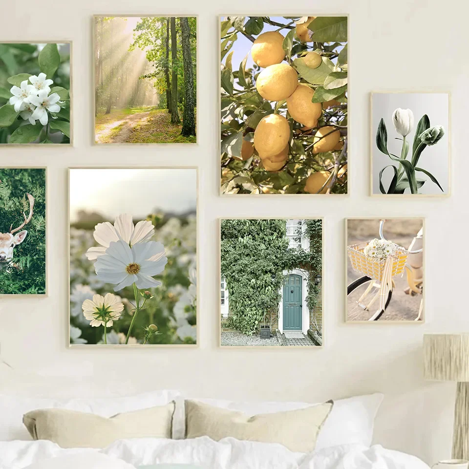 Classic Vintage Wall Art Spring Flowers Tulips Lemons Nature HD Canvas Print Poster Home Living Room Bedroom Decoration