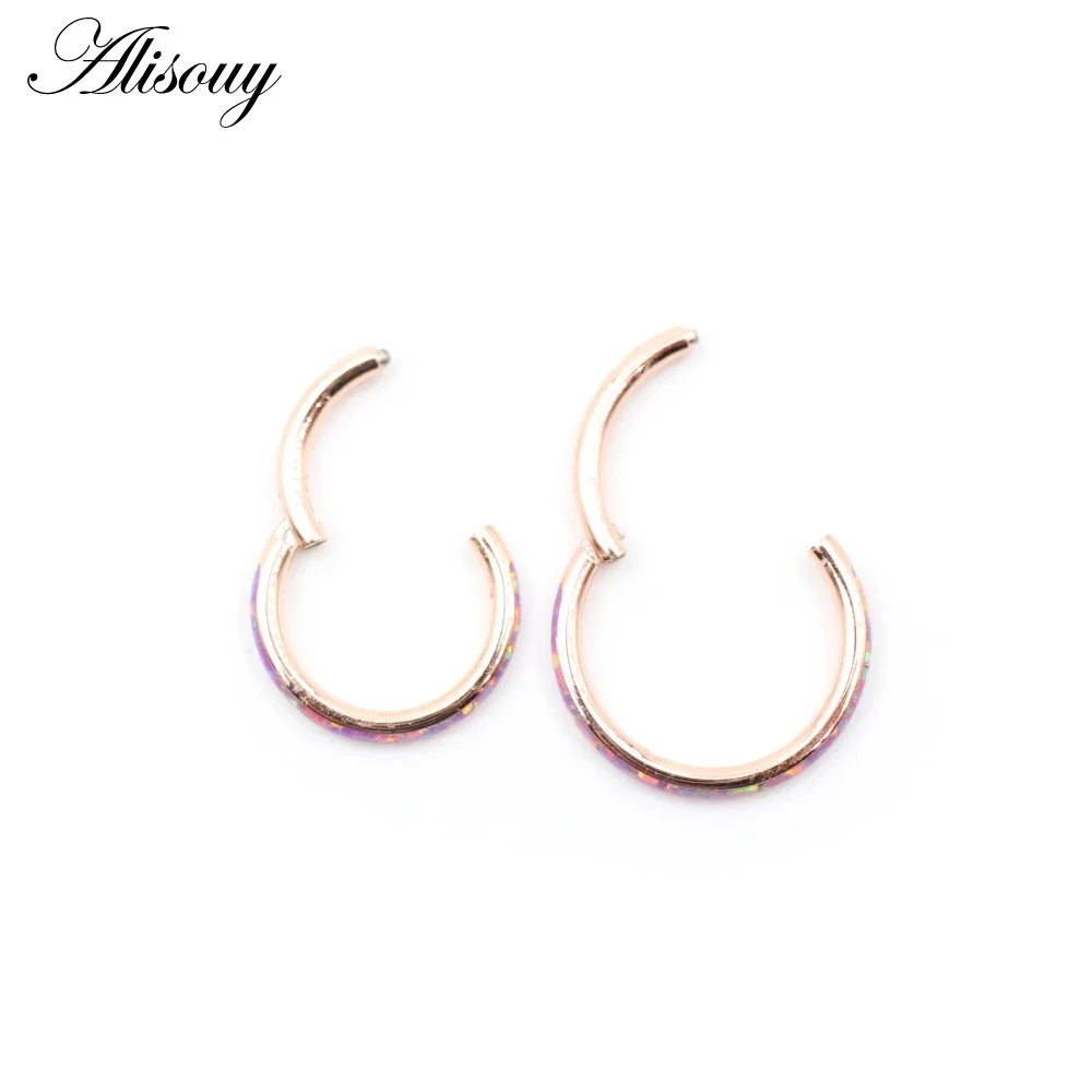 1 قطعة 16 جرام متمحور الفرس الأنف الدائري 316L الفولاذ المقاوم للصدأ الحاجز الدائري أوبال هوب الحاجب الشفاه أقراط للأذن هيئة ثقب المجوهرات #6