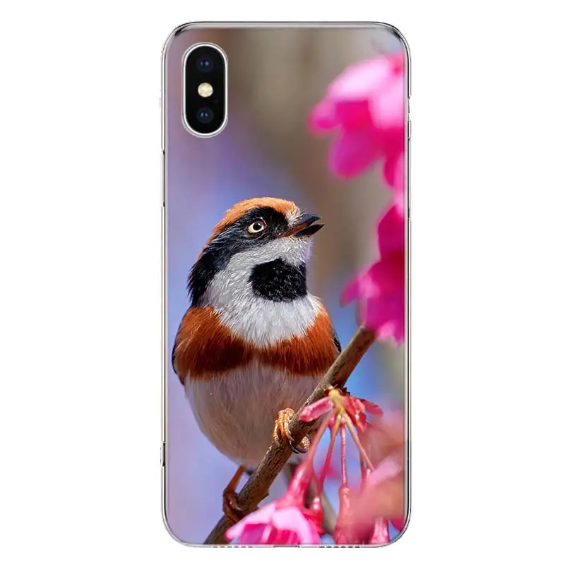 Magpie bird Phone Case For Apple iPhone 11 12 13 14 15 16 Pro Max 7 X XS 8 Plus + Mini SE Customized Print Soft Cover For Apple 