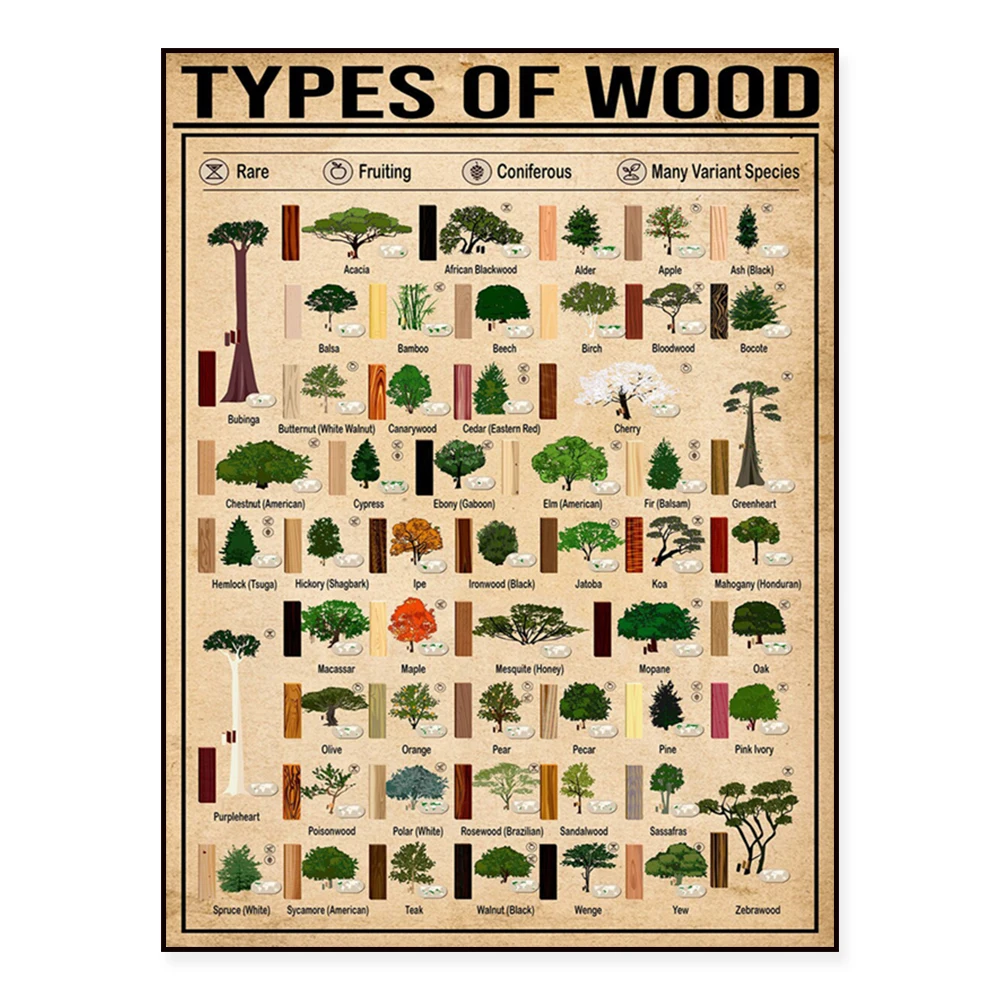 Type 52 Plant Tree Knowledge Canvas Printed Poster