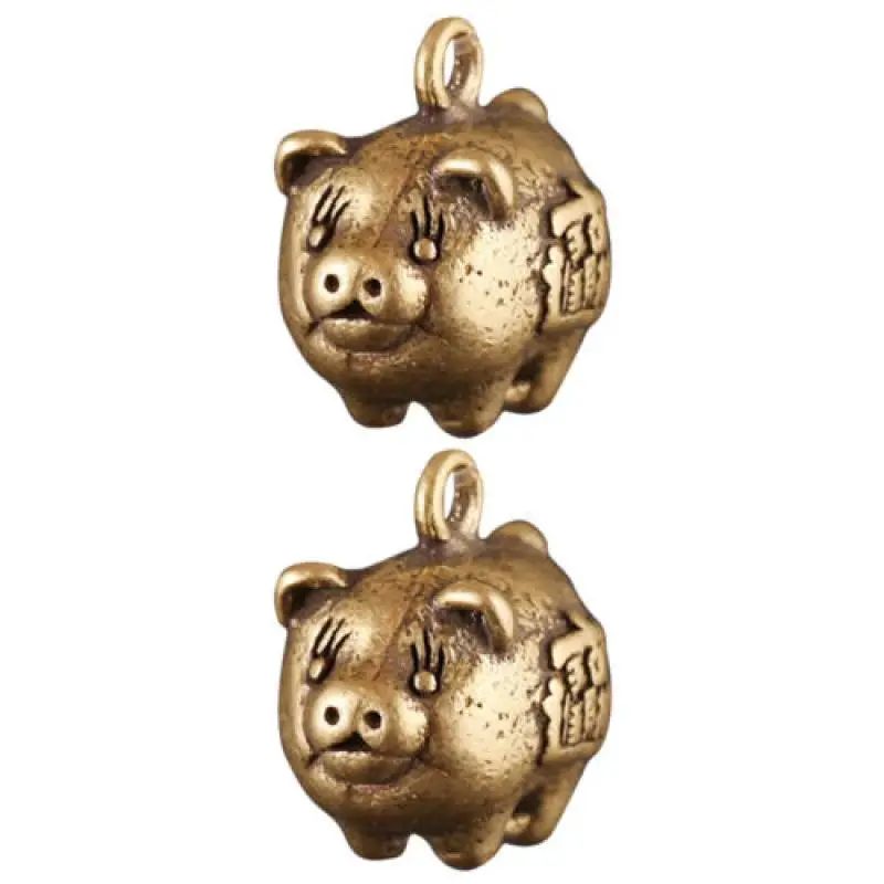 2Pcs Amulet Charms Fengshui Pig Charm Brass Collection