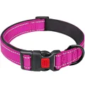 Pet collar rose red
